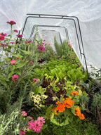 Zenith Garden Hoops, Set of 4