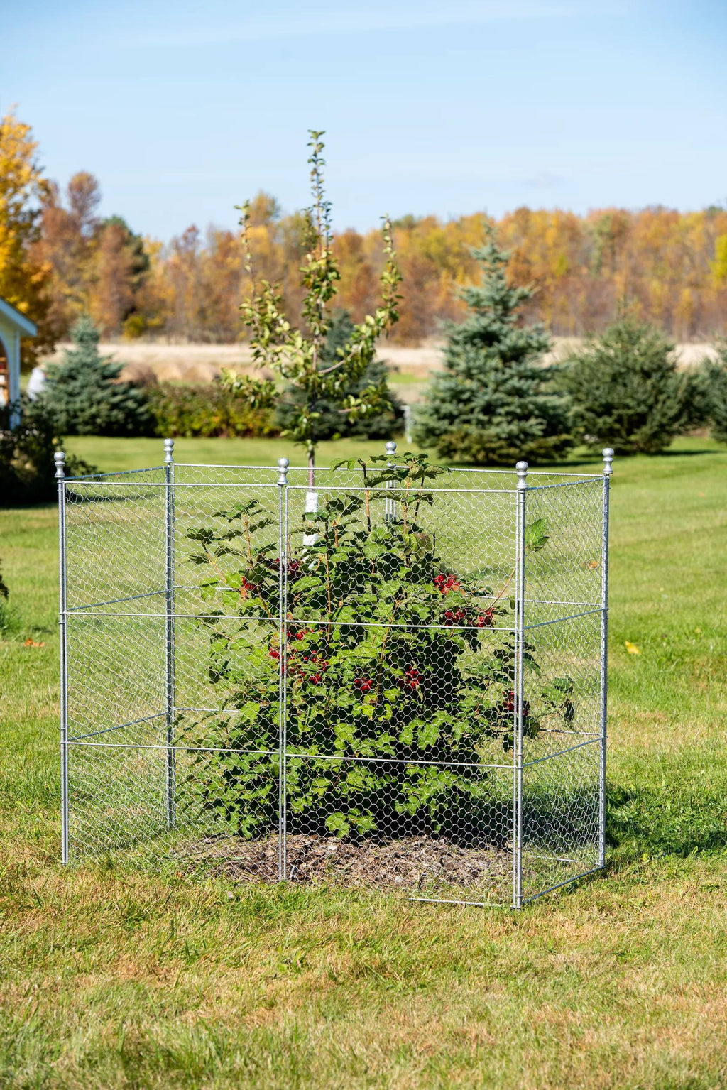 Tall Chicken Wire Critter Fence Extension Panel, Set of 2