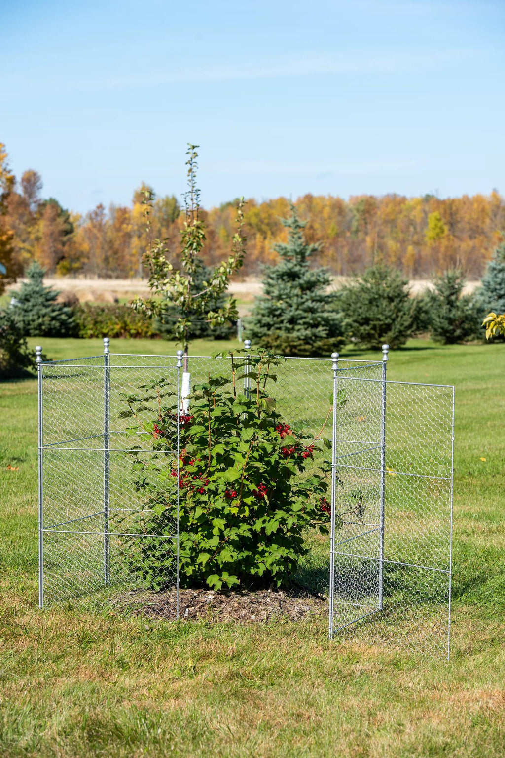 Tall Chicken Wire Critter Fence Extension Panel, Set of 2