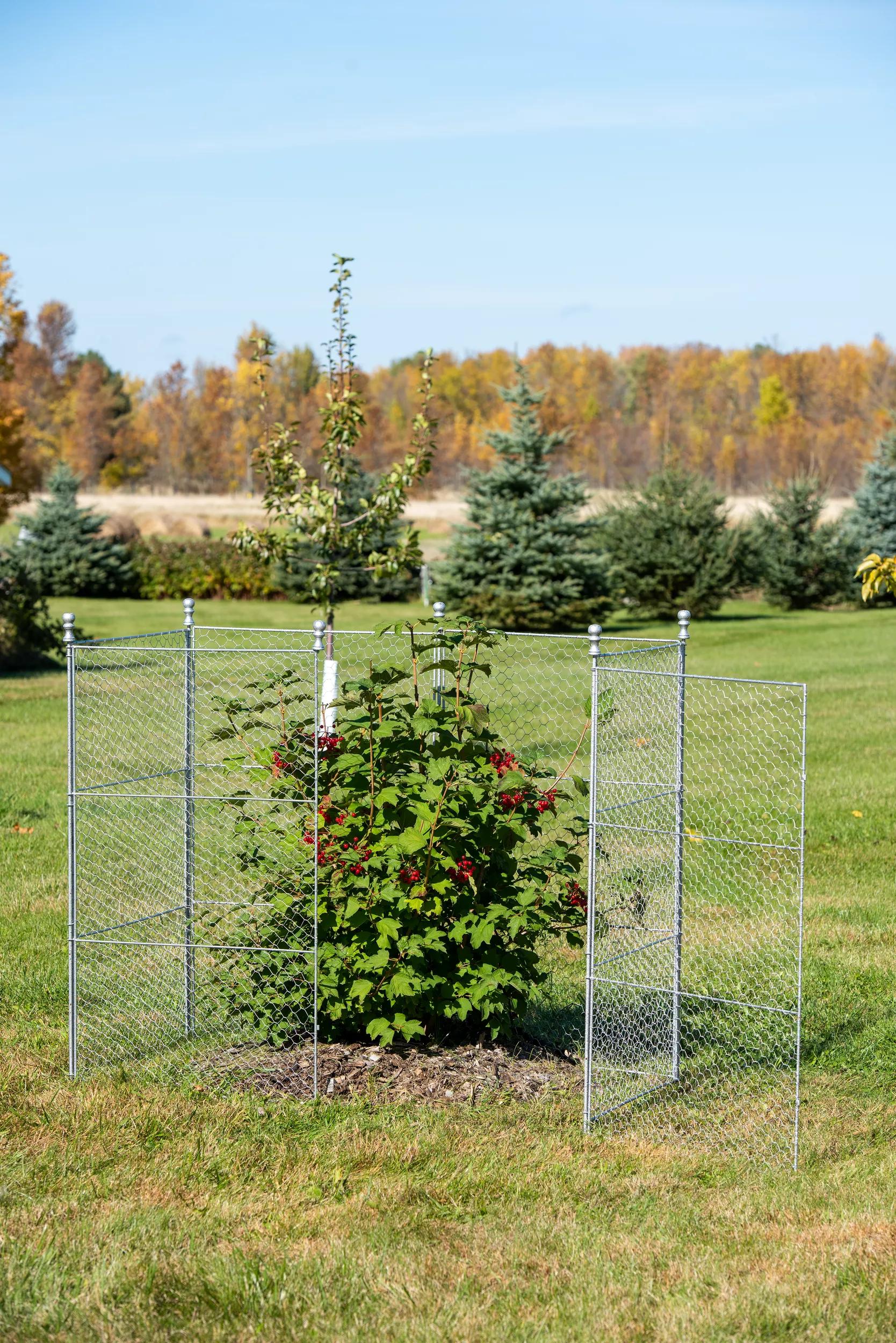 Tall Chicken Wire Critter Fence Extension Panel, Set of 2