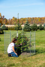 Tall Chicken Wire Critter Fence with Gate