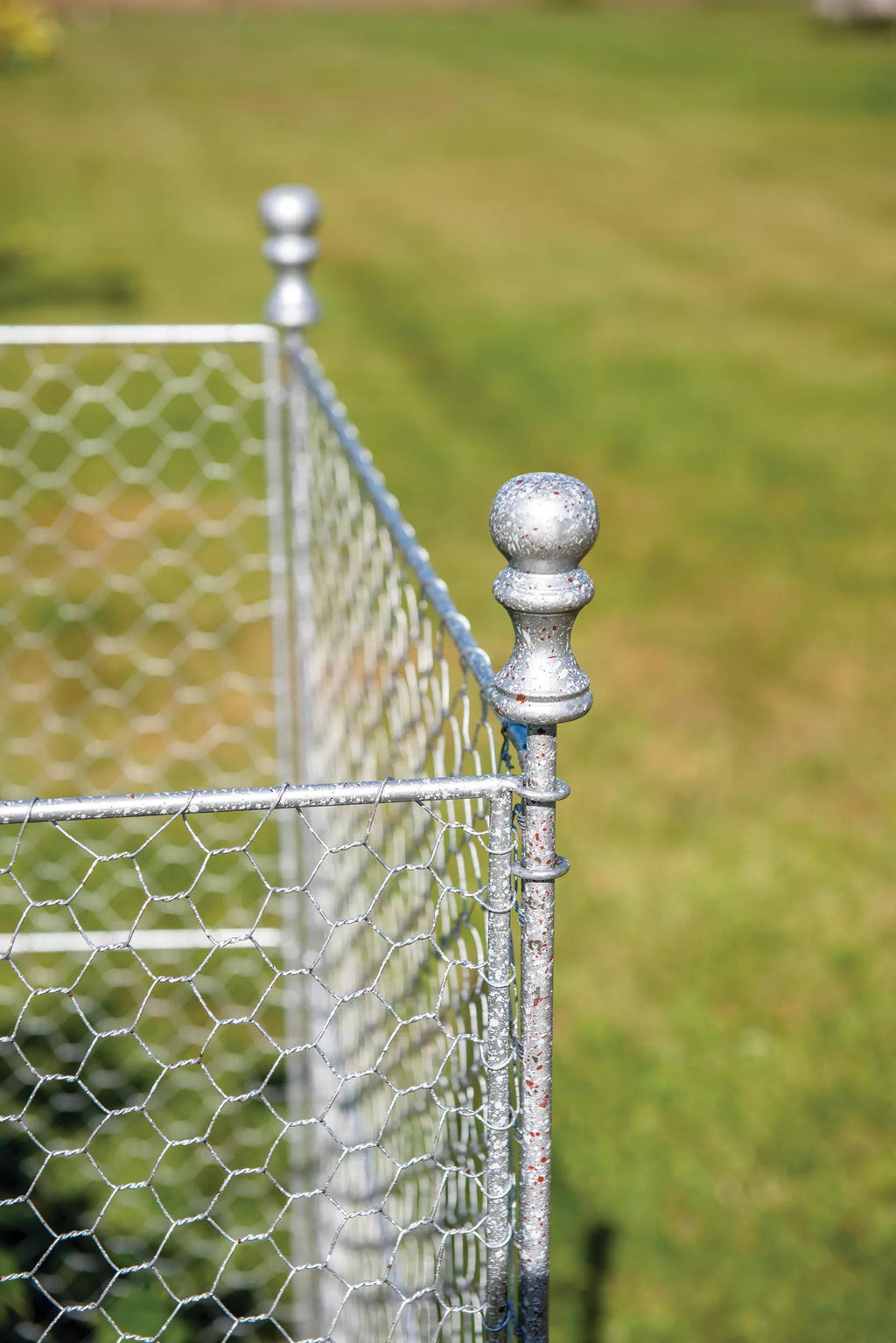Tall Chicken Wire Critter Fence with Gate