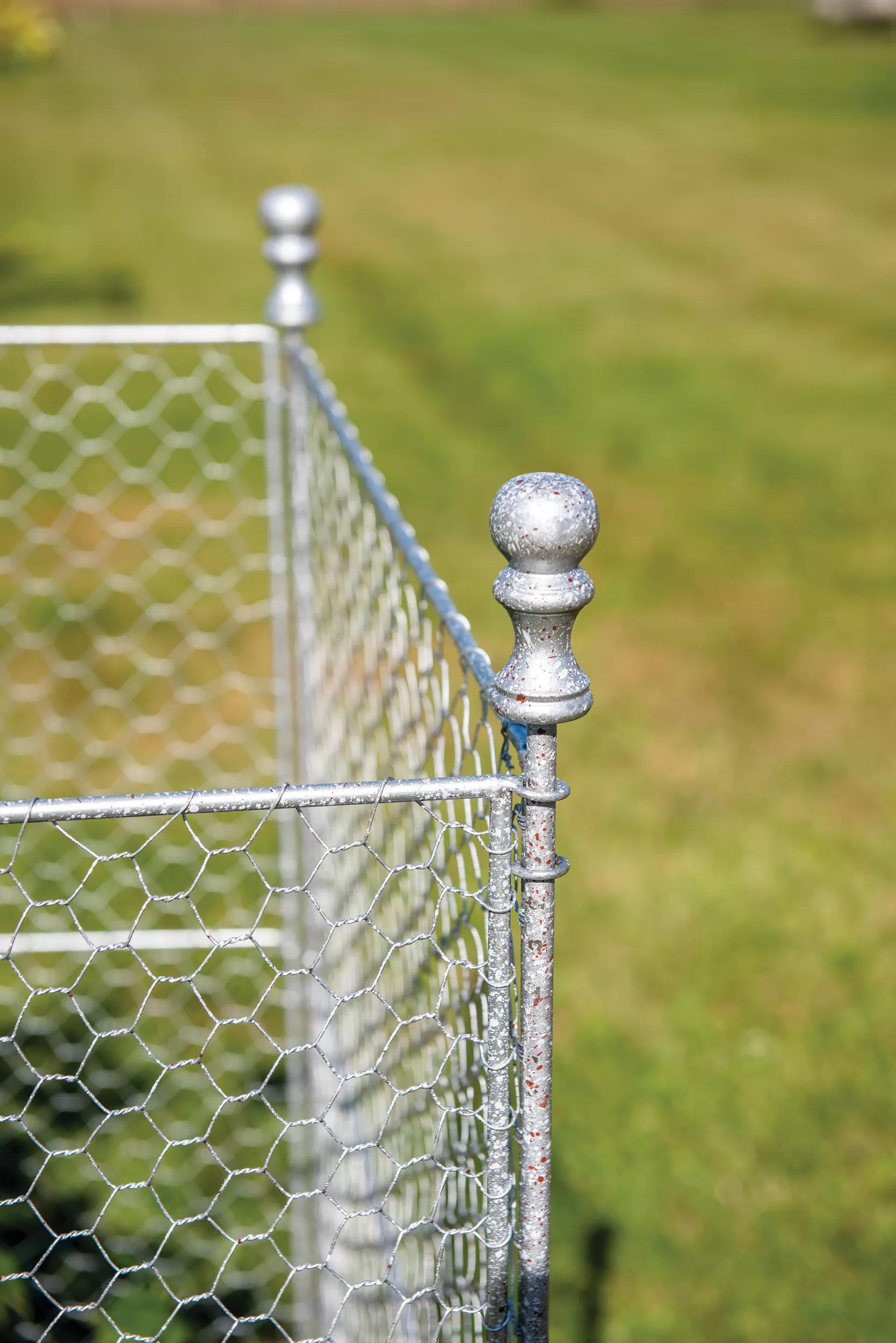 Tall Chicken Wire Critter Fence with Gate