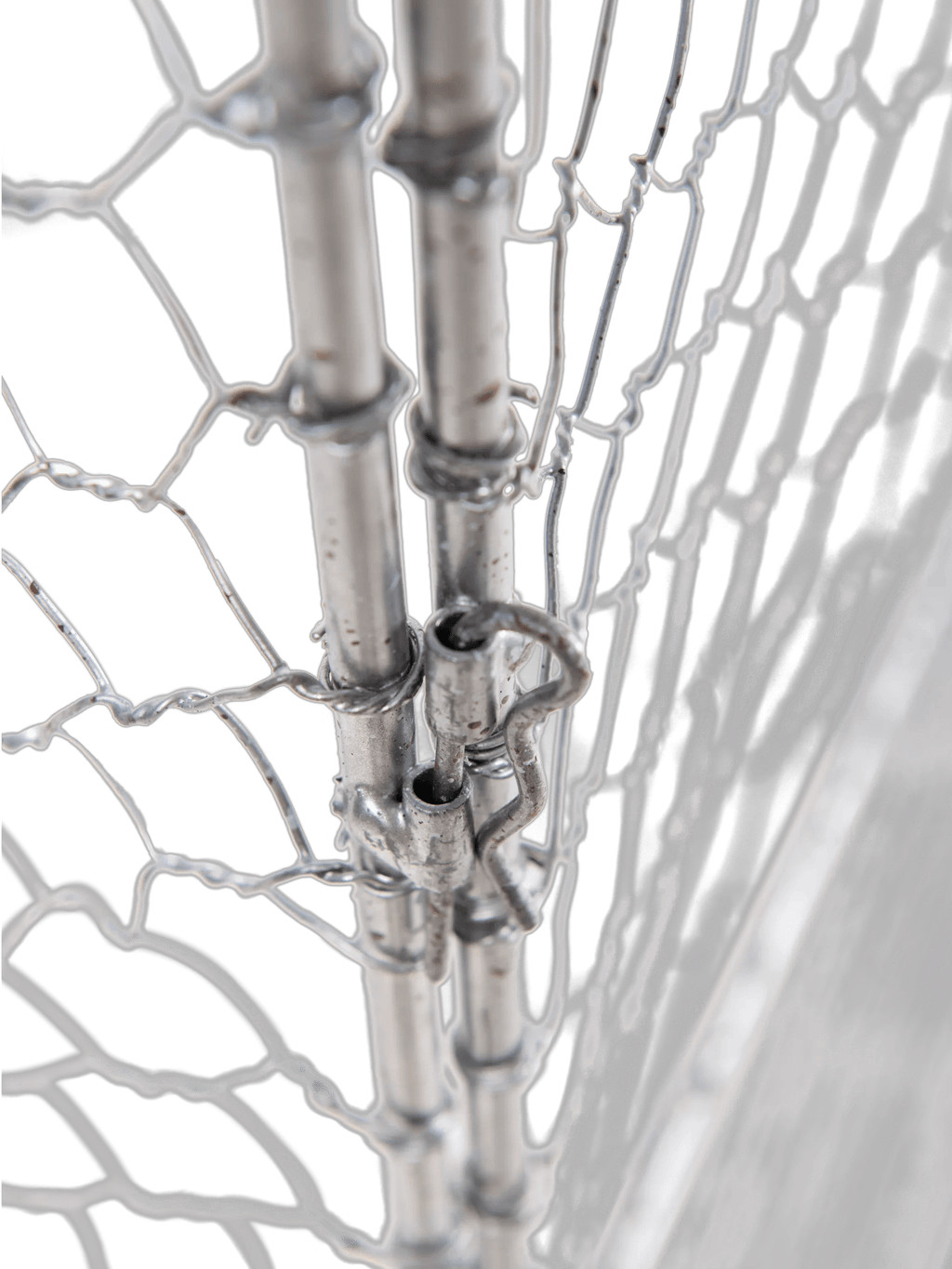 Tall Chicken Wire Critter Fence with Gate