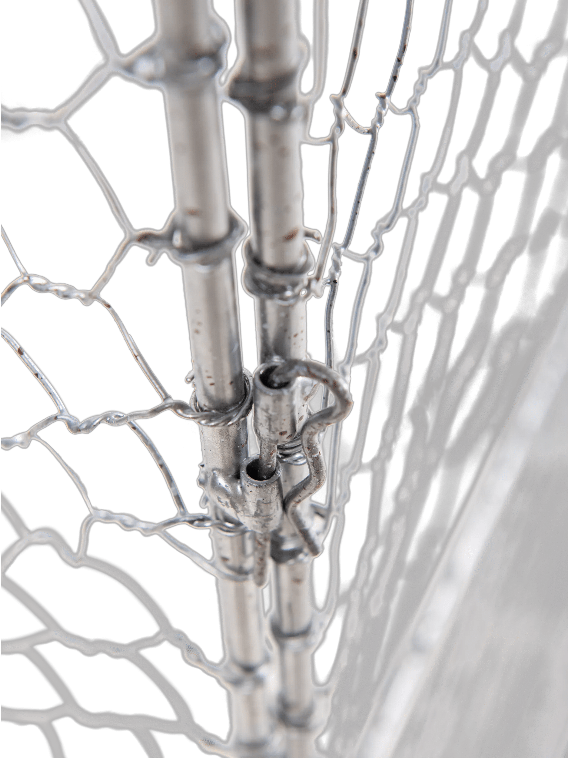 Tall Chicken Wire Critter Fence with Gate