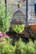 Chicken Wire Cloche