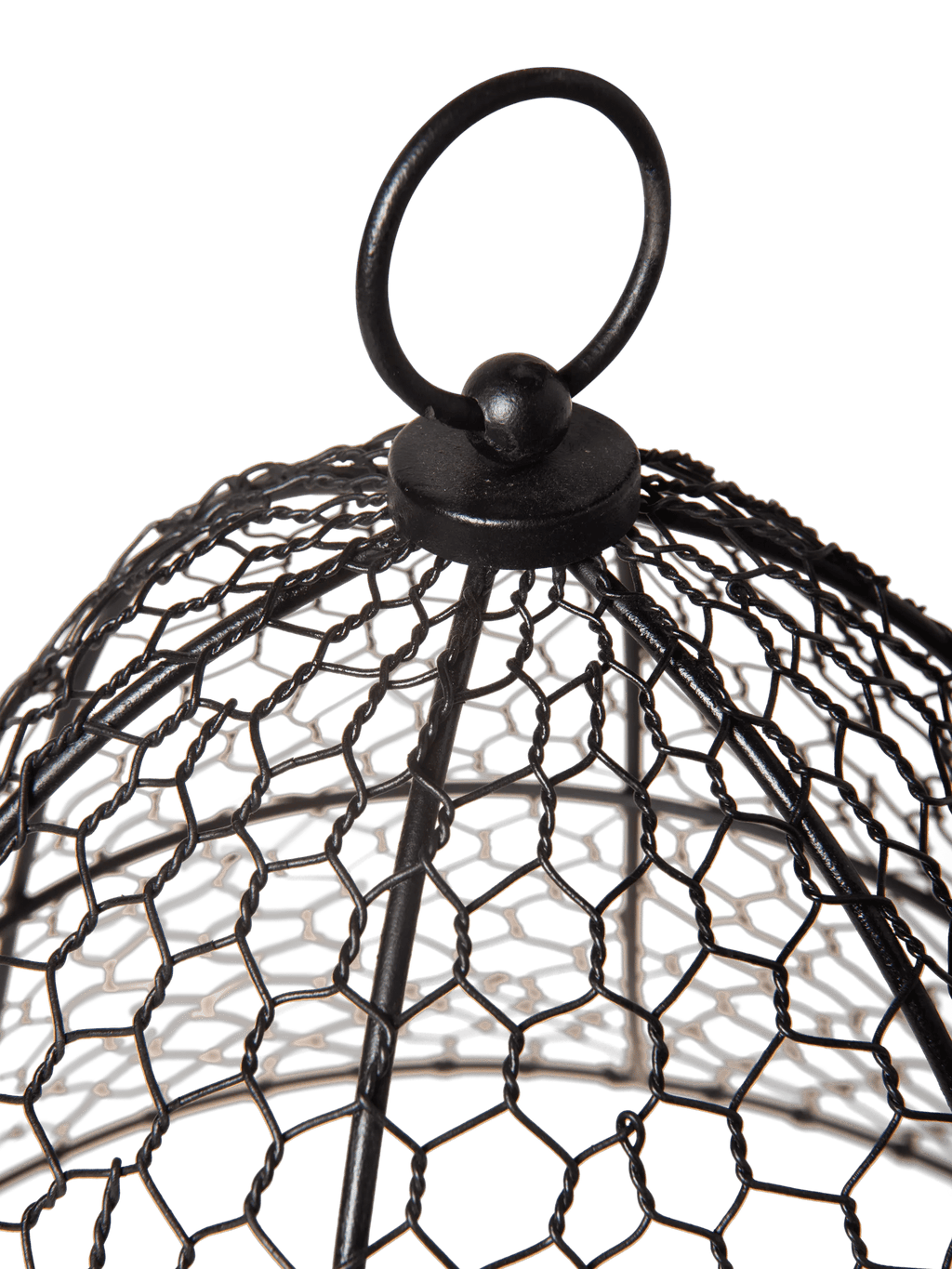 Chicken Wire Cloche