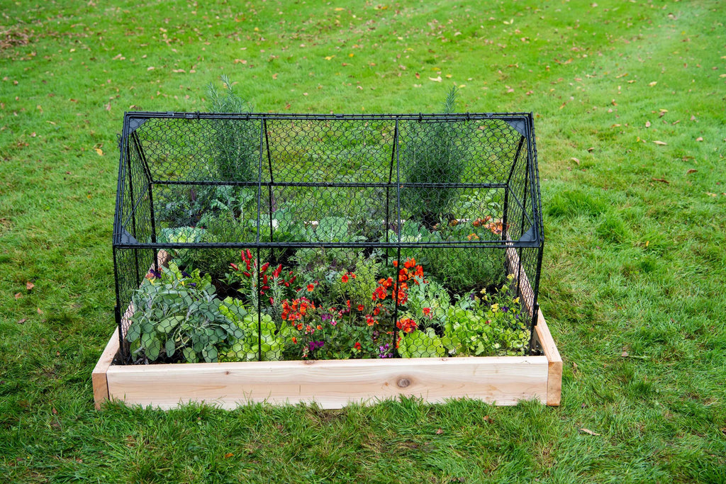 Chicken Wire Crop Coop, Black