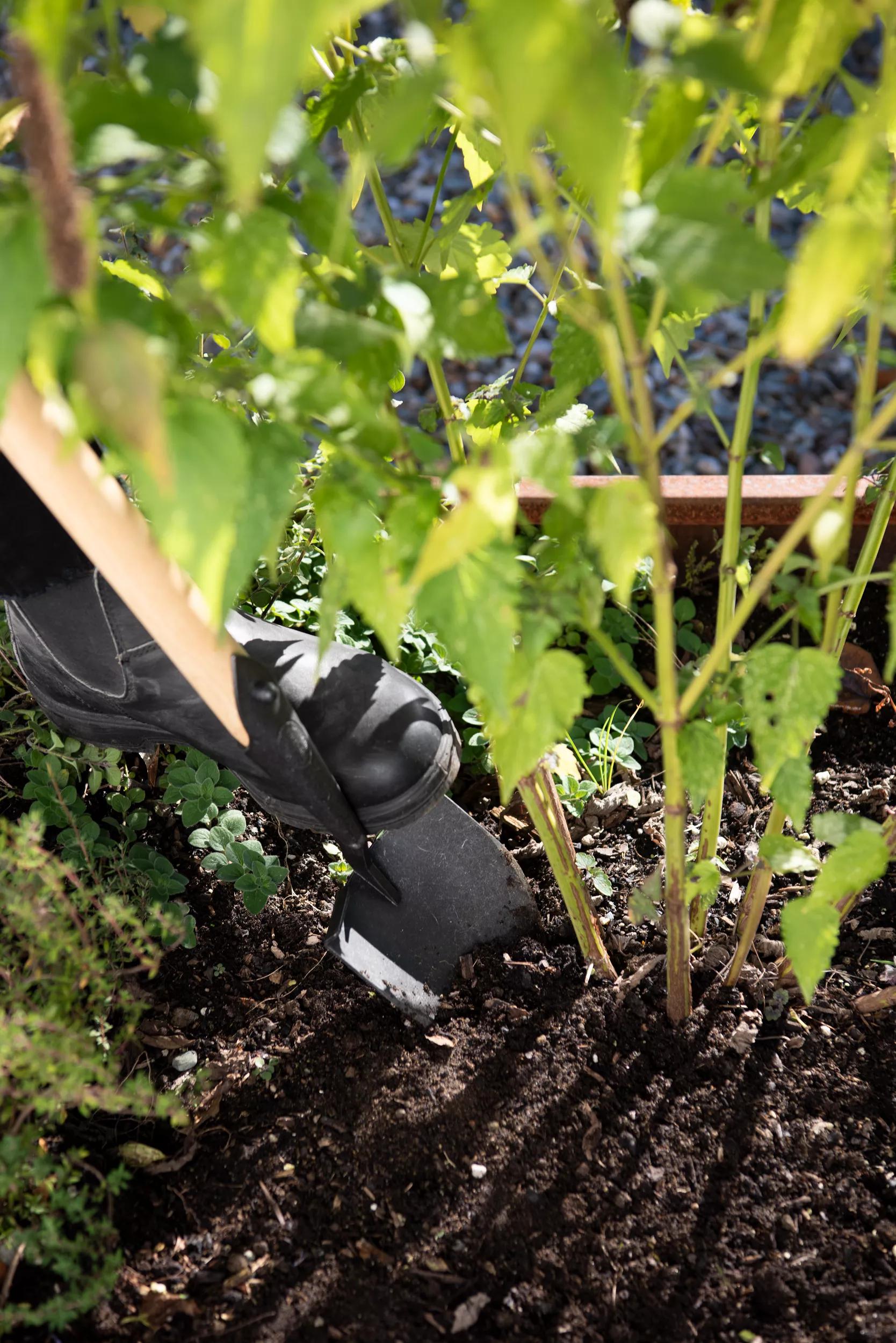 Gardener's Lifetime Little Shovel