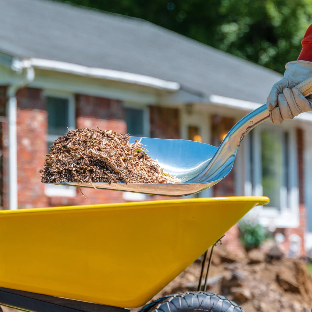 Radius D-Handle Grain Scoop