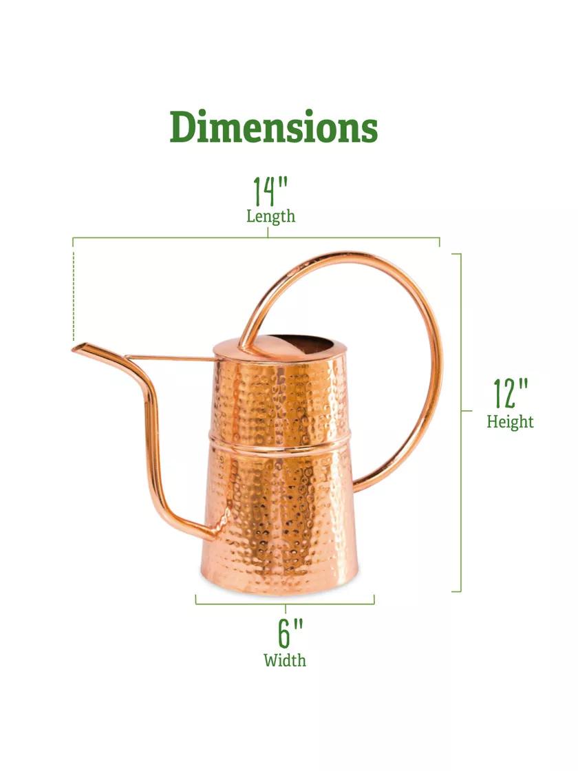 Copper Indoor Watering Can