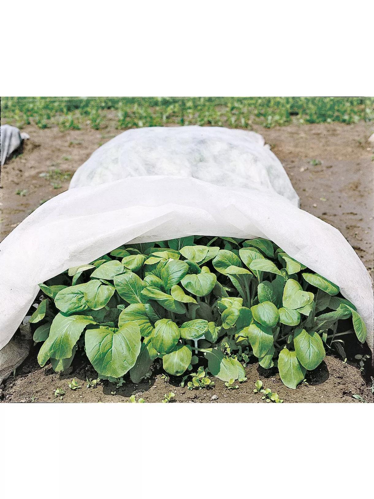 All-Purpose Garden Fabric