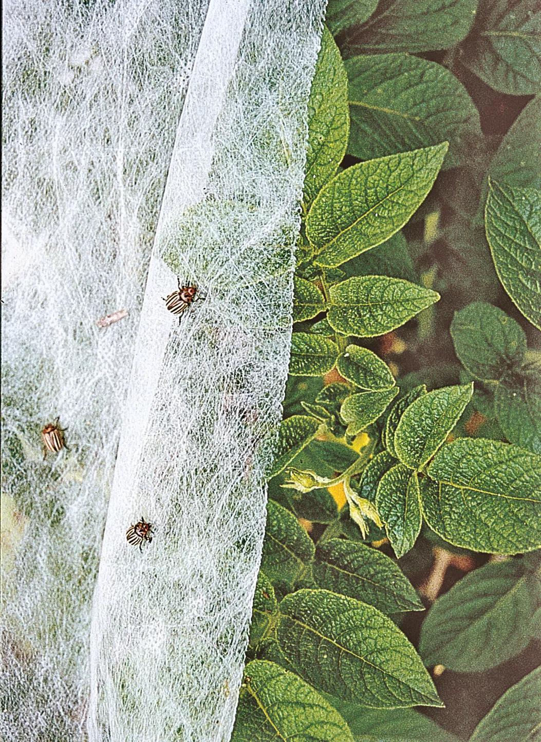 Summerweight Garden Fabric