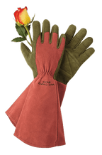 Rose Gloves
