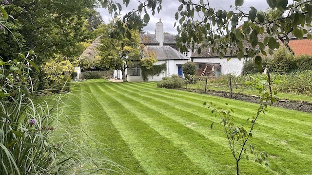 garden1