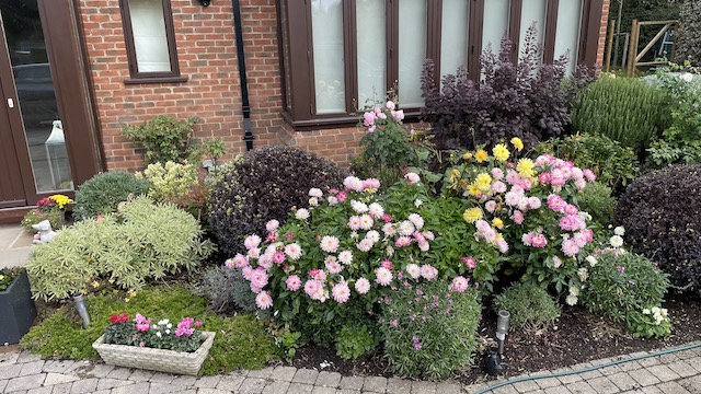 garden2