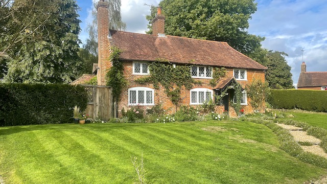 garden3