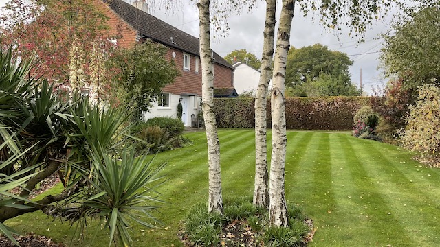 garden4