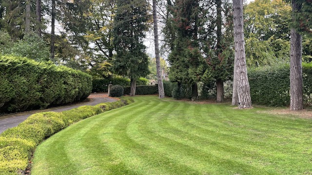 garden5