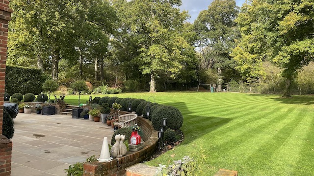 garden9